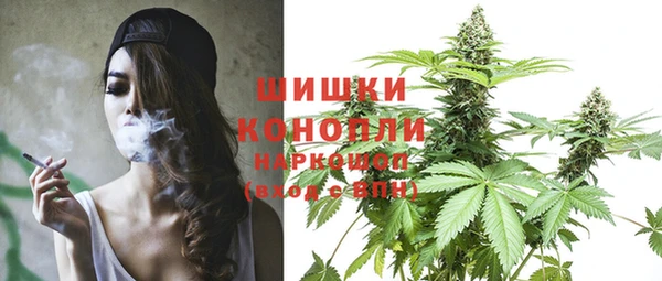 ПСИЛОЦИБИНОВЫЕ ГРИБЫ Волосово