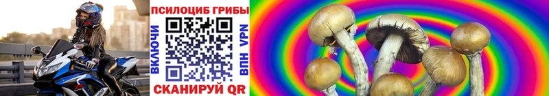 Купить где  Белорецк  Галлюциногенные грибы Psilocybine cubensis 