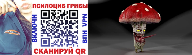 Псилоцибиновые грибы Cubensis Белорецк